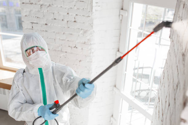 Best HVAC Mold Inspection and Cleaning  in Clanton, AL