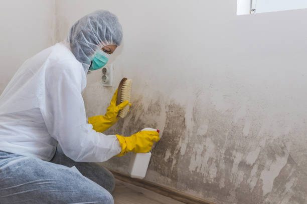 Best Dehumidification Services  in Clanton, AL