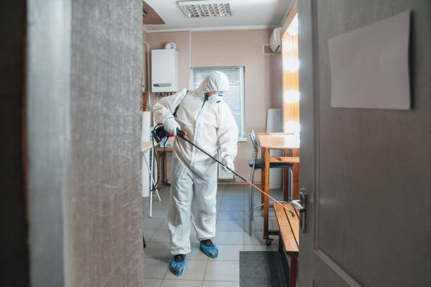 Forensic Mold Investigation in Clanton, AL