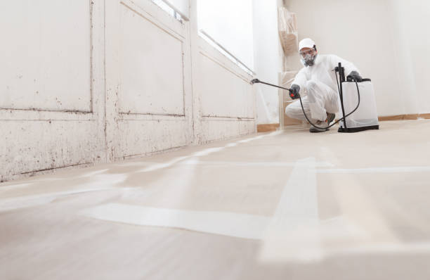 Asbestos and Lead Testing During Mold Inspection in Clanton, AL